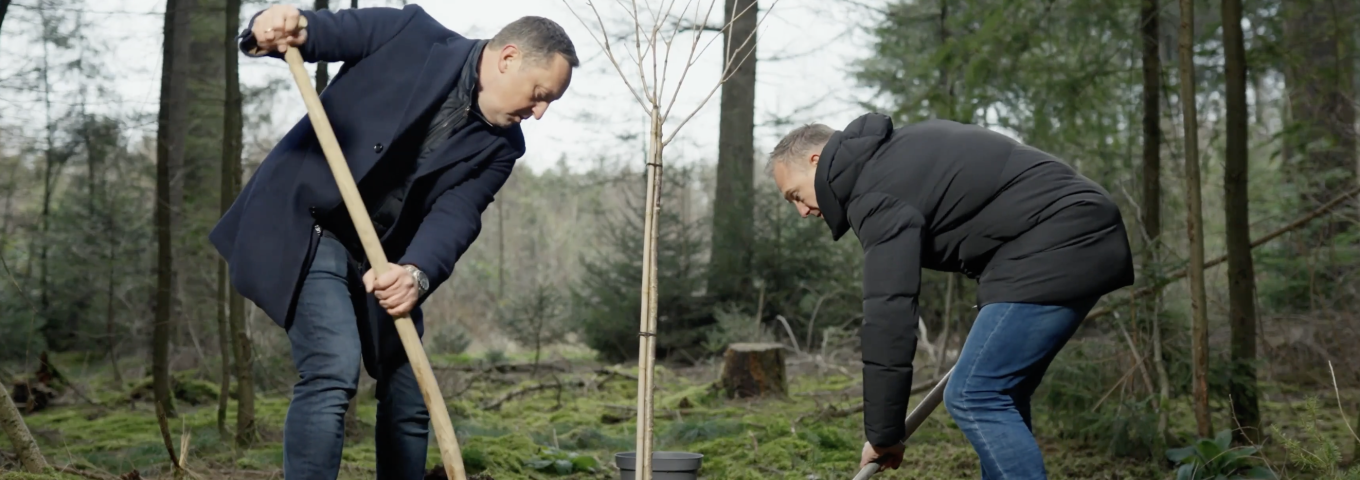 boom planten trees for all